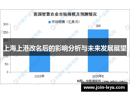 上海上港改名后的影响分析与未来发展展望