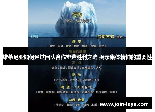 维蒂尼亚如何通过团队合作塑造胜利之路 揭示集体精神的重要性