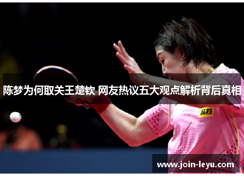 陈梦为何取关王楚钦 网友热议五大观点解析背后真相